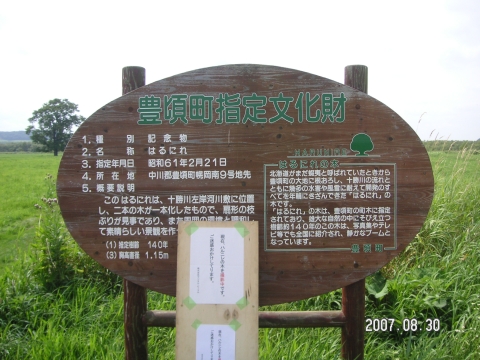 s_PICT0554.jpg